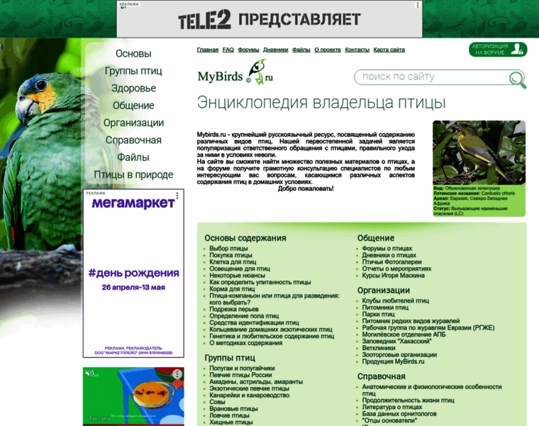 Mybirds.ru thumbnail