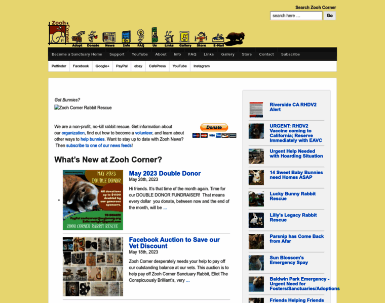 Mybunny.org thumbnail