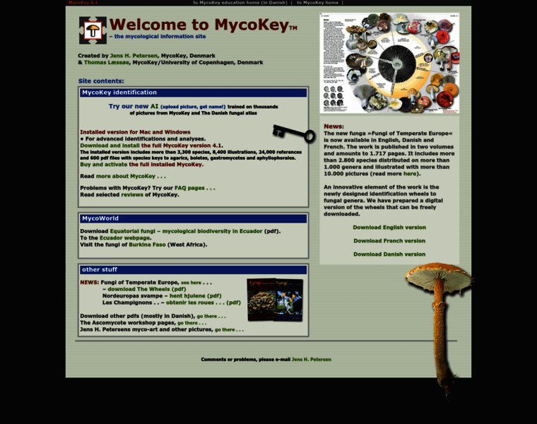 Mycokey.com thumbnail