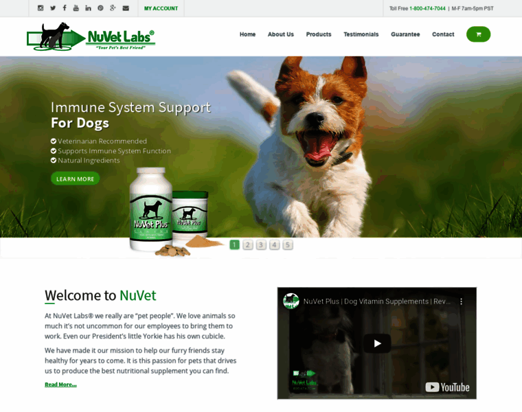 Mydogshealthnow.com thumbnail