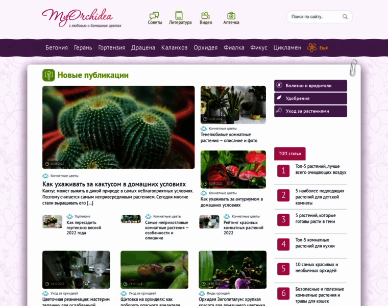 Myorchidea.ru thumbnail