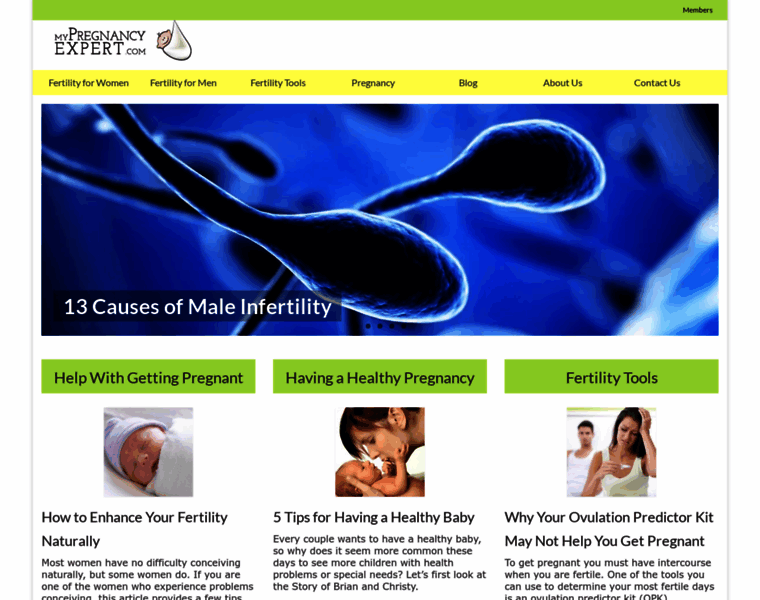 Mypregnancyexpert.com thumbnail