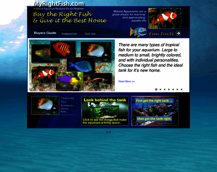 Myrightfish.com thumbnail