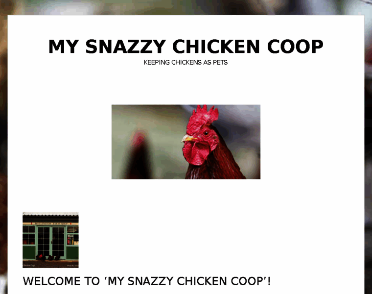 Mysnazzychickencoop.com thumbnail