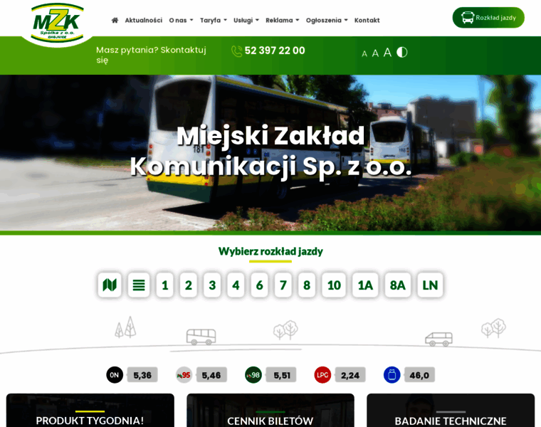 Mzkchojnice.pl thumbnail