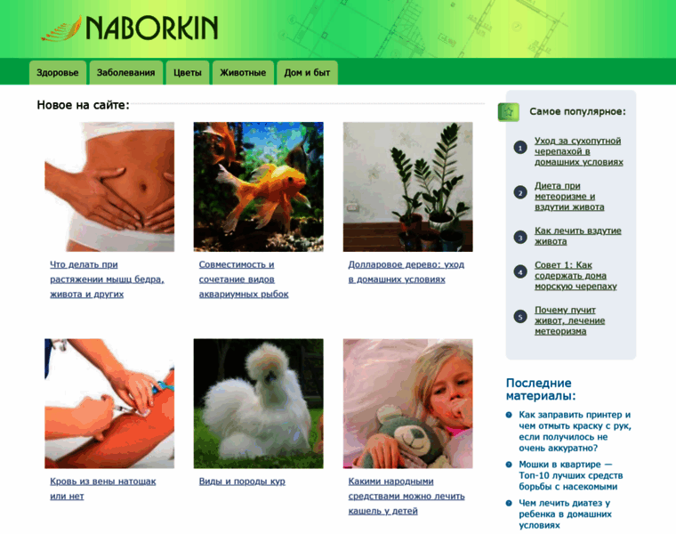 Naborkin.ru thumbnail