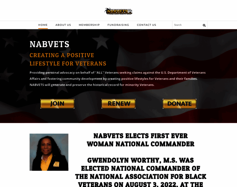 Nabvets.org thumbnail