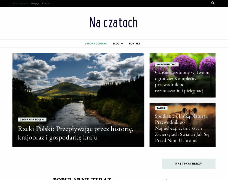Naczatach.pl thumbnail