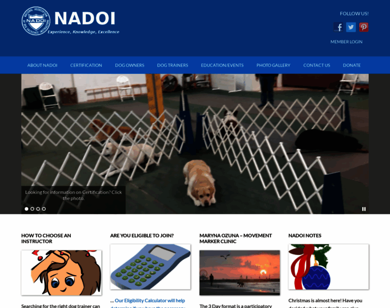 Nadoi.org thumbnail