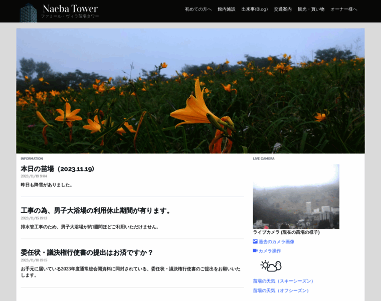 Naeba-tower.com thumbnail