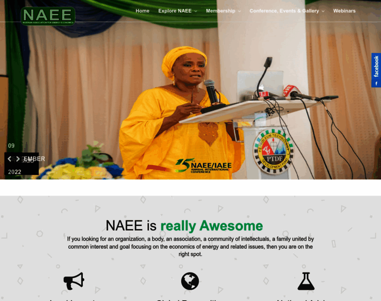 Naee.org.ng thumbnail