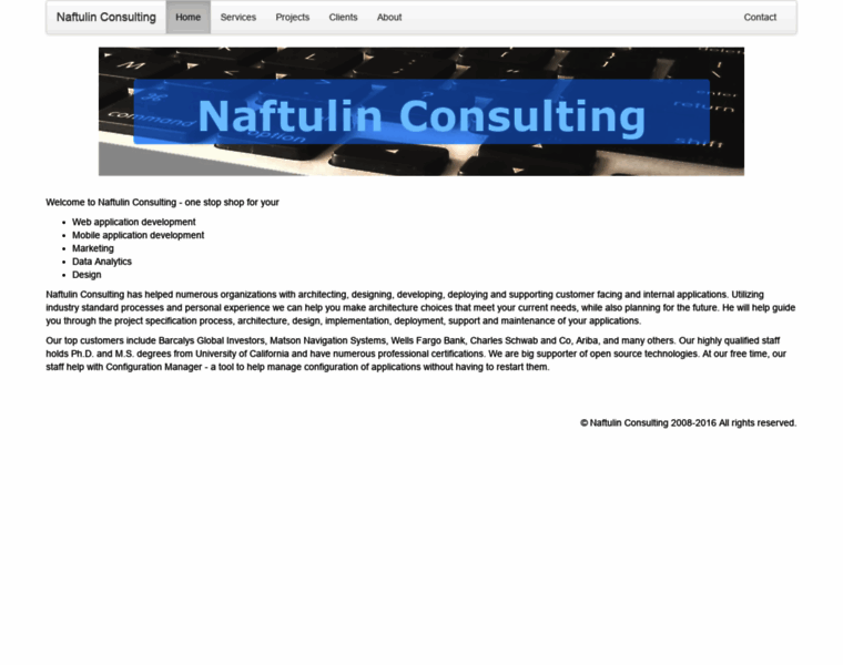 Naftulinconsulting.com thumbnail