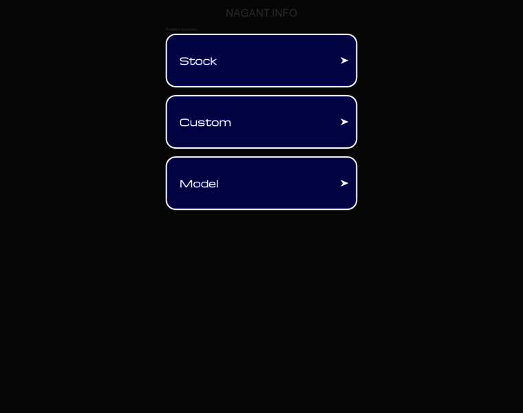 Nagant.info thumbnail