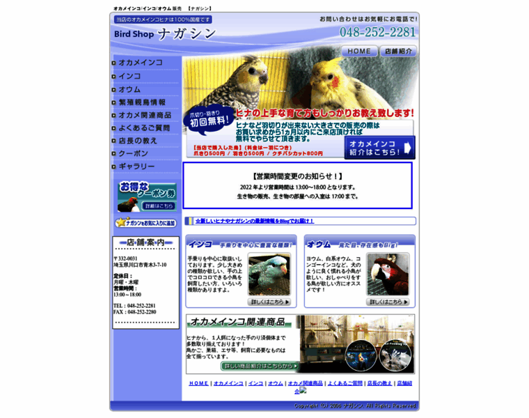 Nagasin.com thumbnail