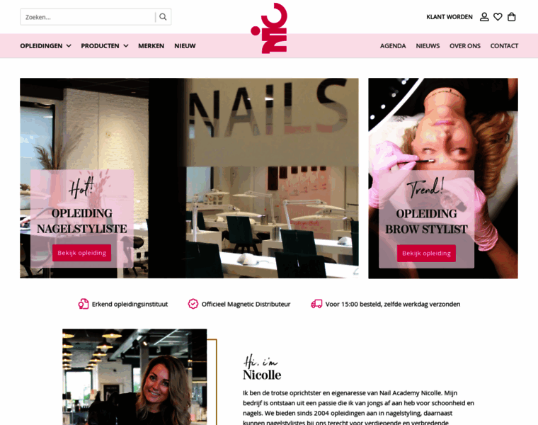 Nail-academy-nicolle.nl thumbnail