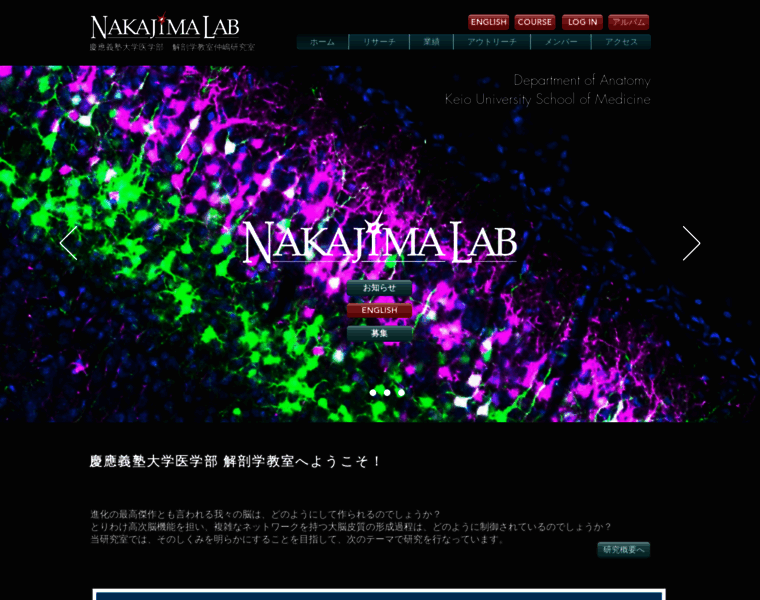 Nakajimalab.com thumbnail