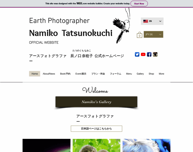 Namikotatsunokuchi.com thumbnail