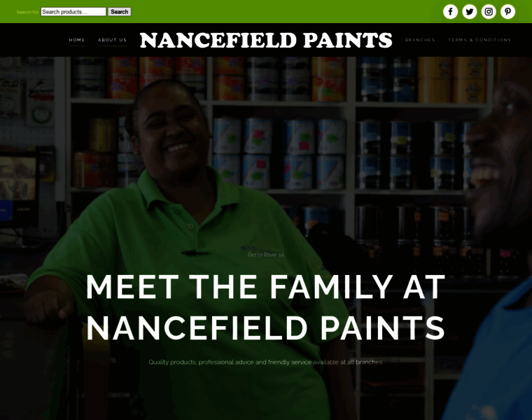 Nancefieldpaints.co.za thumbnail