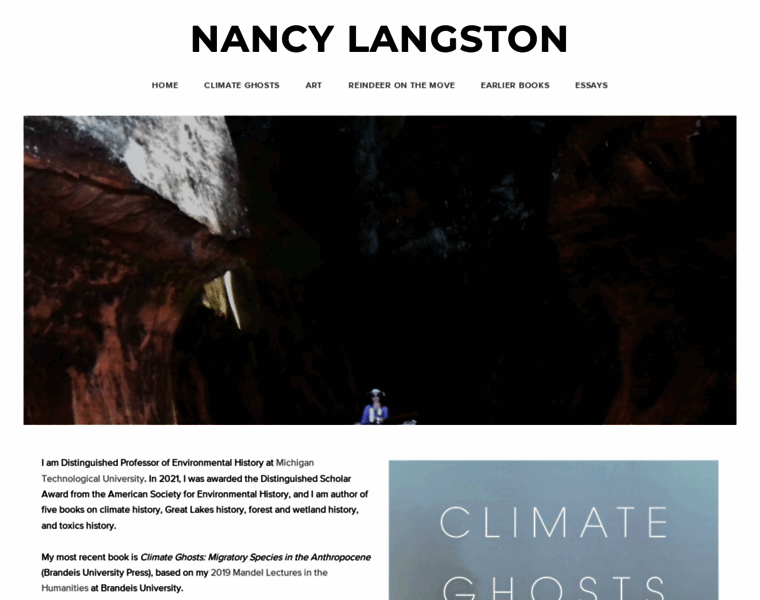 Nancylangston.net thumbnail
