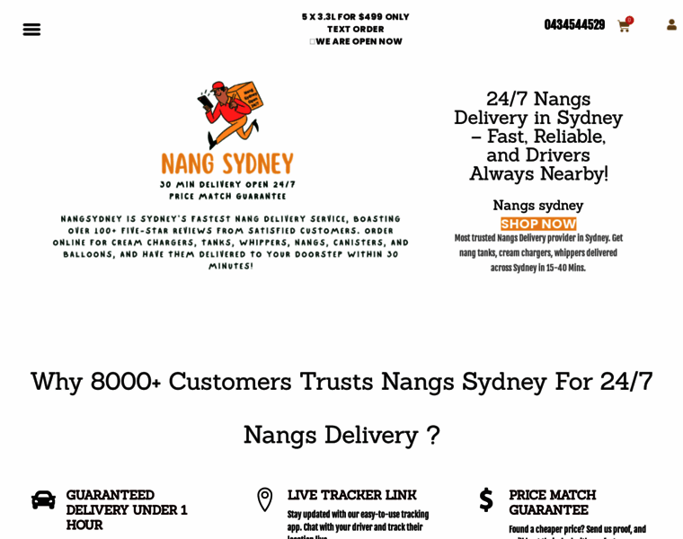 Nangsydney.com thumbnail