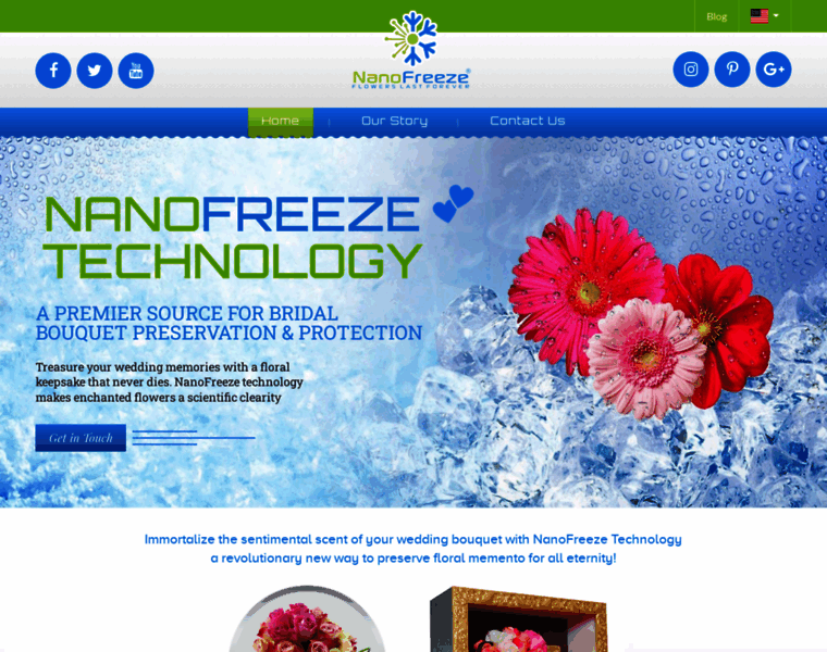 Nano-freeze.com thumbnail