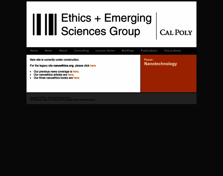Nanoethics.org thumbnail Nanoethics.org thumbnail