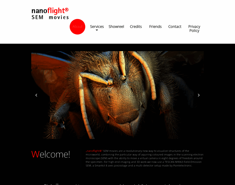 Nanoflight.info thumbnail