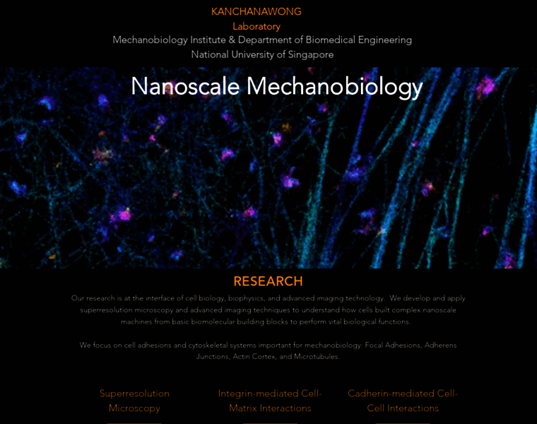 Nanoscalemechanobiology.org thumbnail