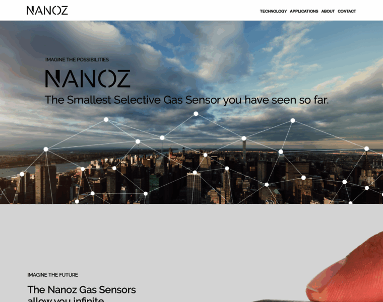 Nanoz-group.eu thumbnail