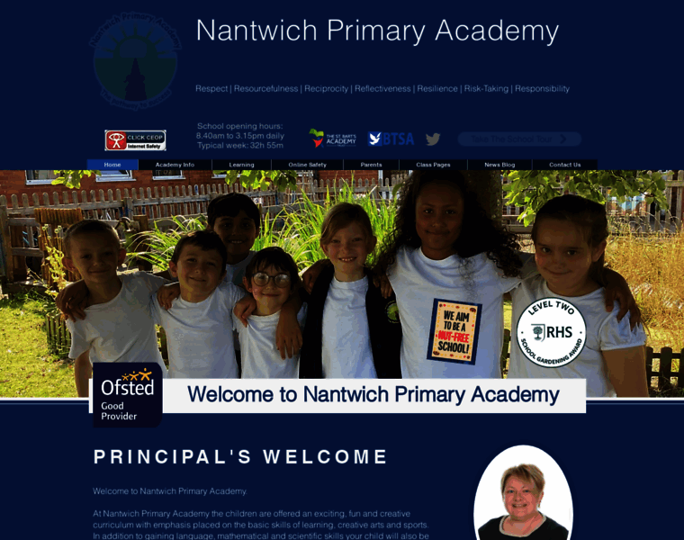 Nantwichprimaryacademy.co.uk thumbnail