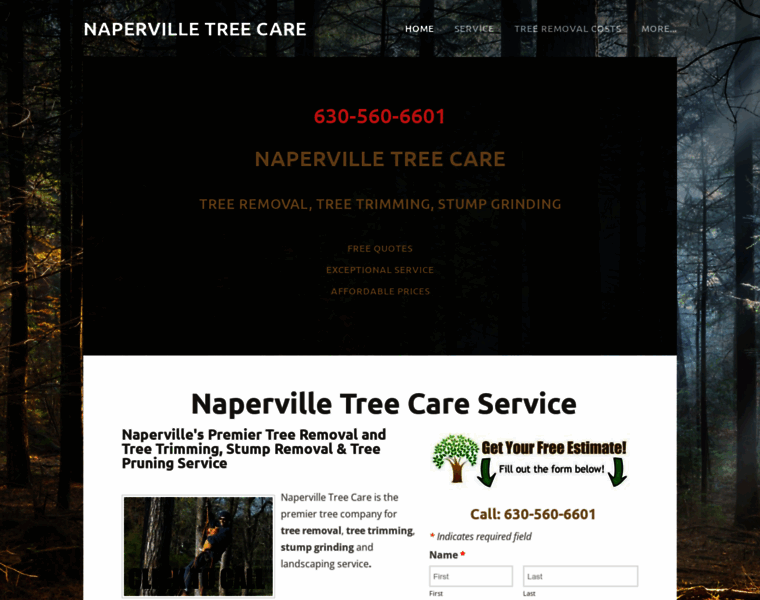 Napervilletreecare.com thumbnail Napervilletreecare.com thumbnail