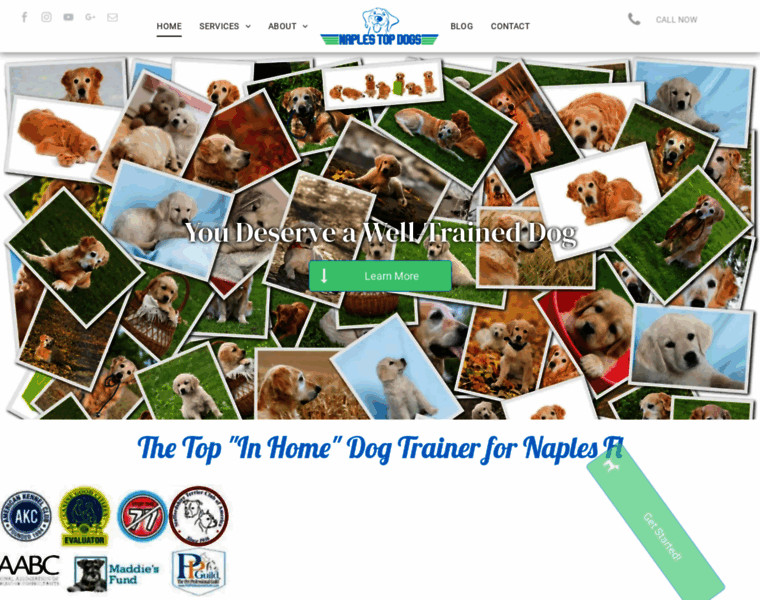 Naplestopdogs.com thumbnail