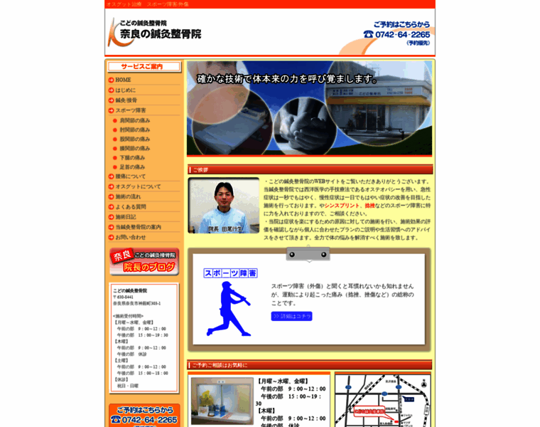 Nara-seikotsuin.com thumbnail