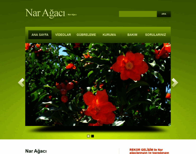 Naragaci.org thumbnail