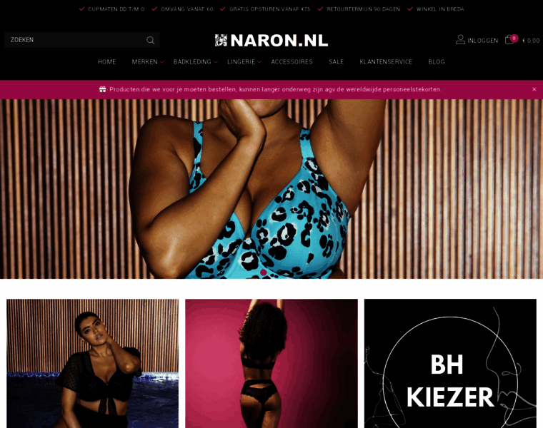 Naron.nl thumbnail