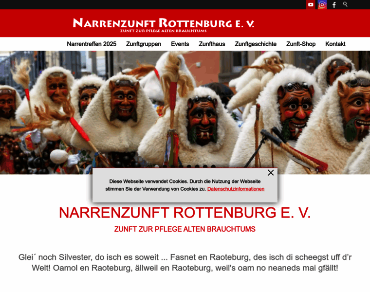Narrenzunft-rottenburg.de thumbnail