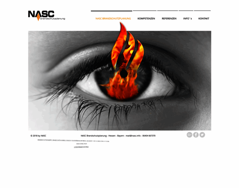 Nasc.info thumbnail