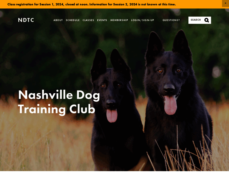 Nashvilledog.org thumbnail