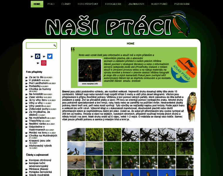 Nasiptaci.info thumbnail