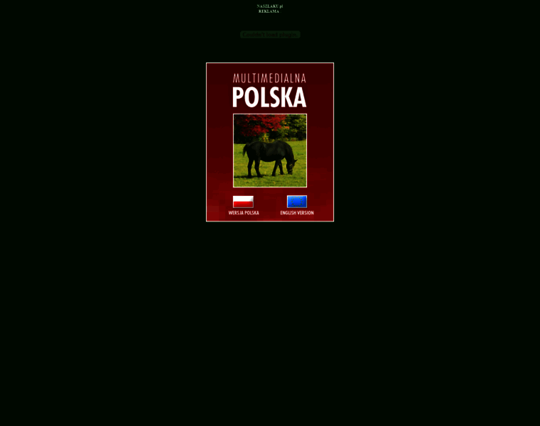 Naszlaku.pl thumbnail