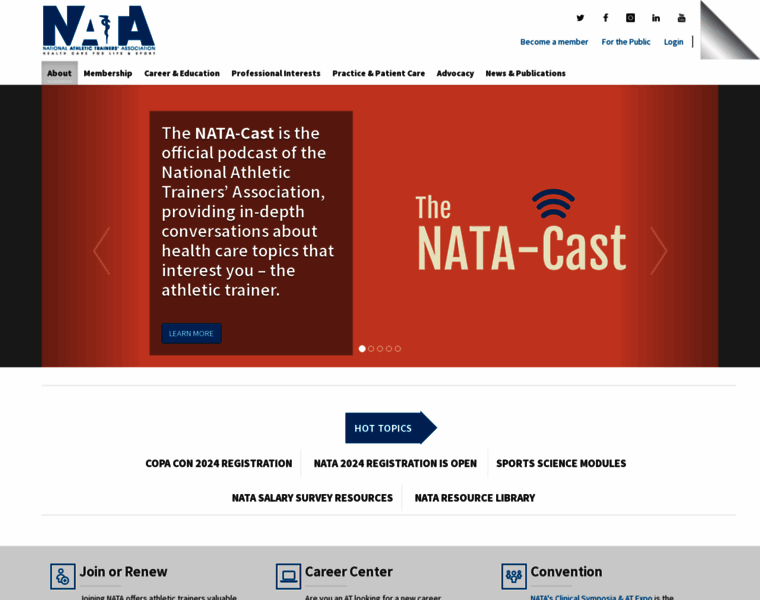 Nata.org thumbnail