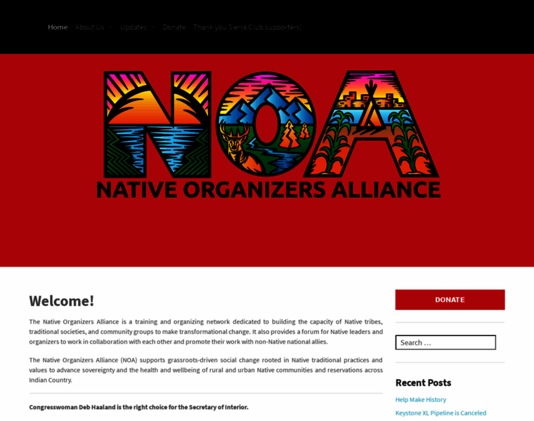 Nativeorganizing.org thumbnail