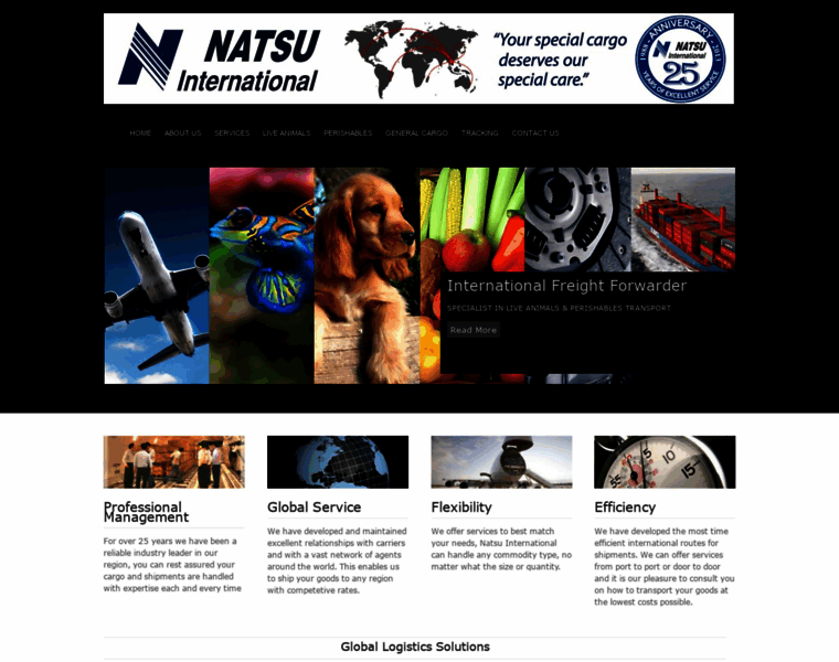 Natsuinter.com thumbnail