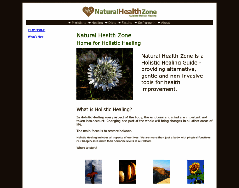 Natural-health-zone.com thumbnail