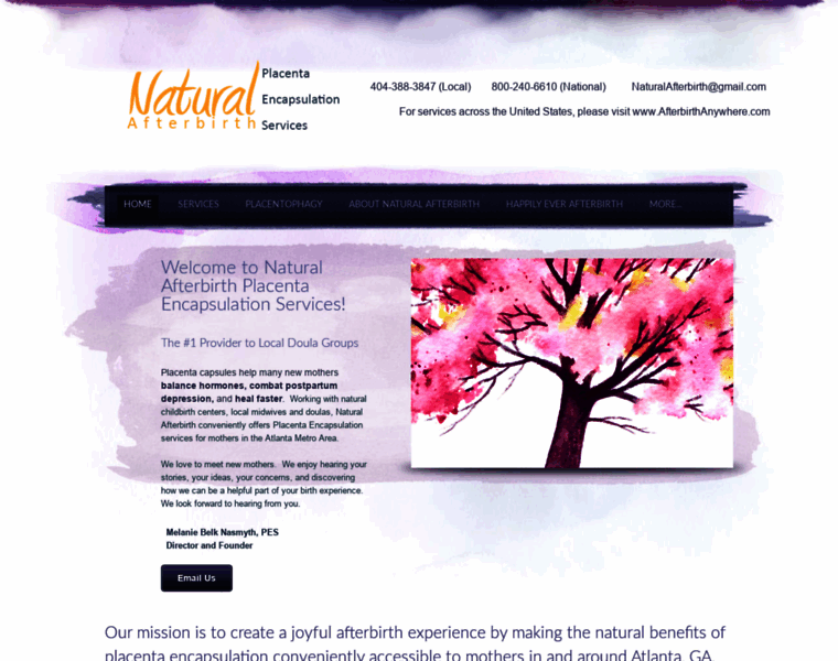 Naturalafterbirth.com thumbnail