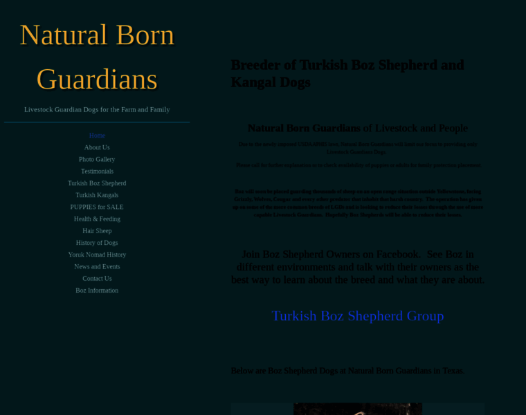 Naturalbornguardians.com thumbnail