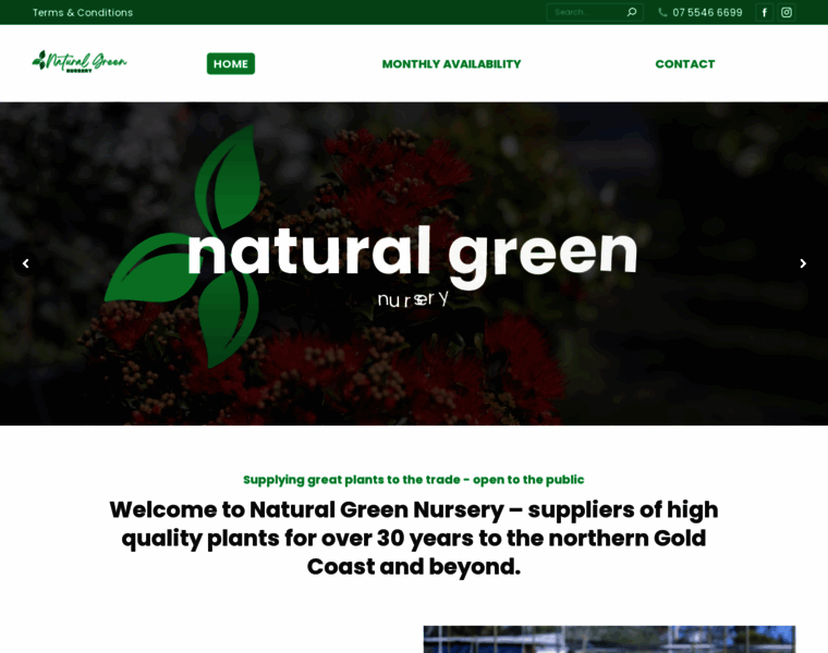 Naturalgreennursery.com.au thumbnail