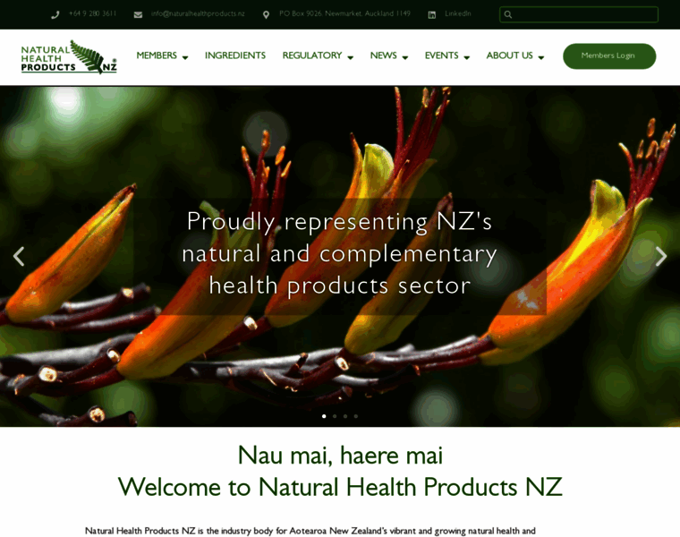 Naturalhealthproducts.nz thumbnail