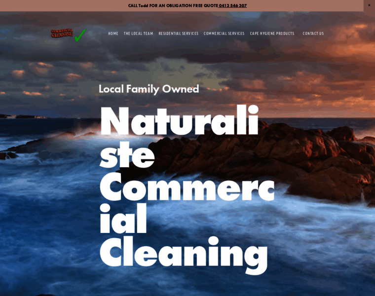 Naturalistecleaning.com.au thumbnail