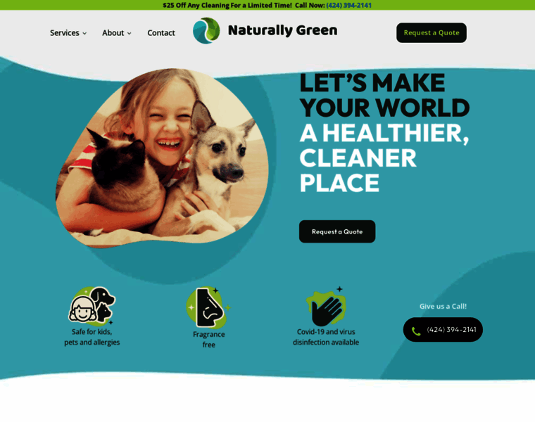 Naturallygreencleaning.com thumbnail